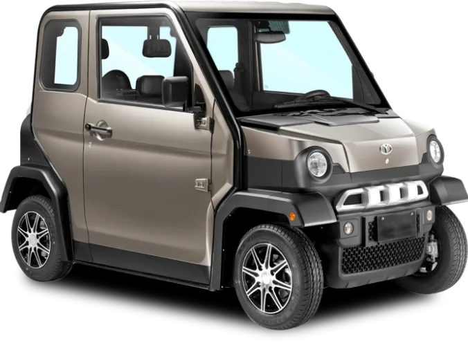 Pewter golf cart rental